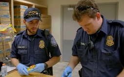 Border Force USA