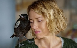 Beflügelt - Ein Vogel namens Penguin Bloom