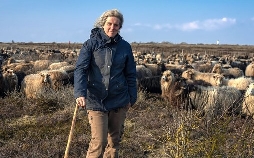 Sylt - Wellen, Wind und Watt