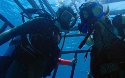 47 Meters Down
