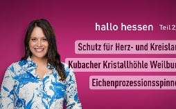 hallo hessen