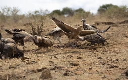 Kenia - Dem Regen hinterher