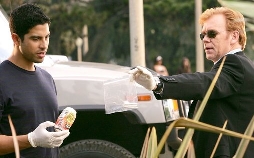 CSI: Miami