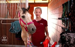 HipHorses - Du und Dein Pferd