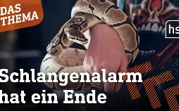 hessenschau