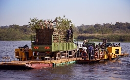 Giraffen - Afrikas sanfte Giganten | TV-Programm von 3sat