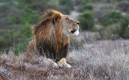 Kenia - Dem Regen hinterher