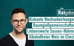 Die Ratgeber
