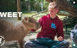 Elefant, Tiger & Kids