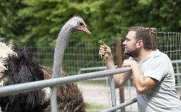 Land und lecker