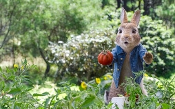 Peter Hase 2 - Ein Hase macht sich vom Acker