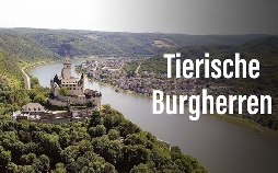 Tierische Burgherren - Das wilde Mittelrheintal