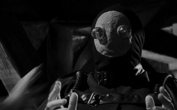 Der Frosch mit der Maske