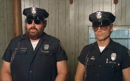 Die Miami Cops