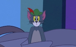 Die Tom und Jerry Show