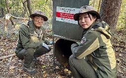Naturjuwel Südkorea