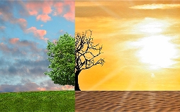 alpha-thema Gespräch: Klimawandel und Gesundheit