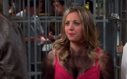 The Big Bang Theory