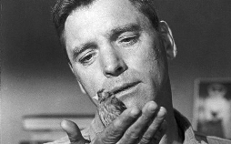 Der Gefangene von Alcatraz