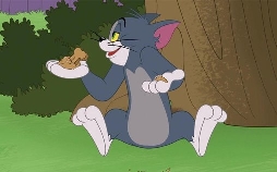 Die Tom und Jerry Show