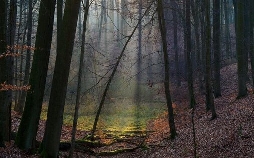 Tausend Moore, hundert Seen und ein Wald