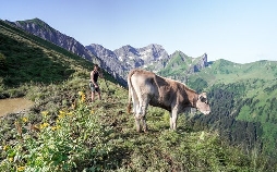 Land der Berge