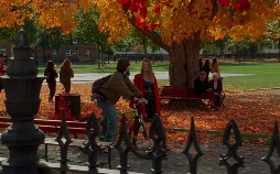 Hocus Pocus