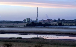 Der Salzige See - Wasserbüffel am verschwundenen Meer