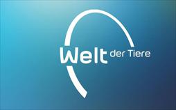 Welt der Tiere