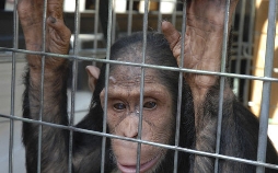 Tierärztin Dr. Mertens