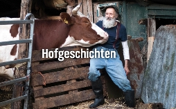 Hofgeschichten