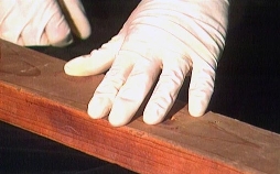 Medical Detectives - Geheimnisse der Gerichtsmedizin