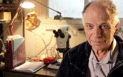 Aufgedeckt - Rätsel der Geschichte