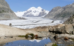 Unsere wilde Schweiz