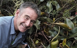 Die wilden Philippinen