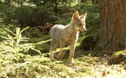 natur exclusiv