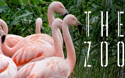 Bronx Zoo - Tierpark der Superlative
