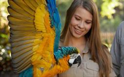 Die Irwins - Crocodile Hunter Family
