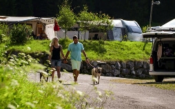 Verrückt nach Camping