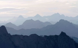 Unsere wilde Schweiz