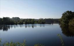 305 km Rhein-Geschichten