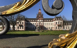Tobis Städtetrip: Hanau hautnah!