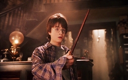 Harry Potter und der Stein der Weisen