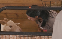 Animal Farm Michigan - Zuflucht für Tiere