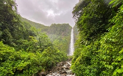 Karibische Gartenträume auf Guadeloupe