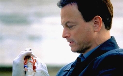 CSI: New York