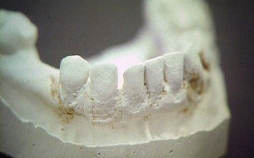 Medical Detectives - Geheimnisse der Gerichtsmedizin