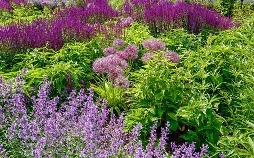 Natur im Garten