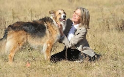 Darling Companion - Ein Hund fürs Leben