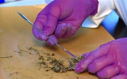 Medical Detectives - Geheimnisse der Gerichtsmedizin